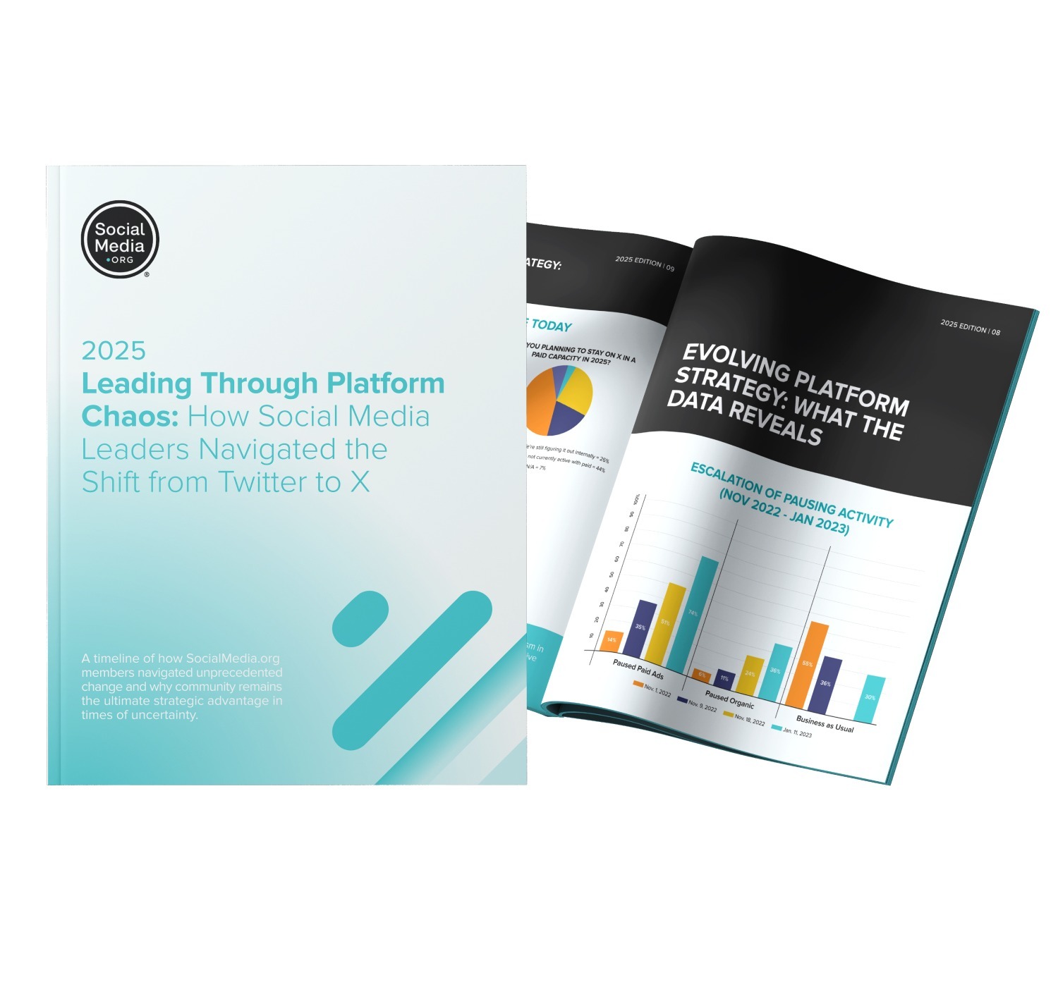 2025 Q2 Leading Through Platform Chaos - Landing page image