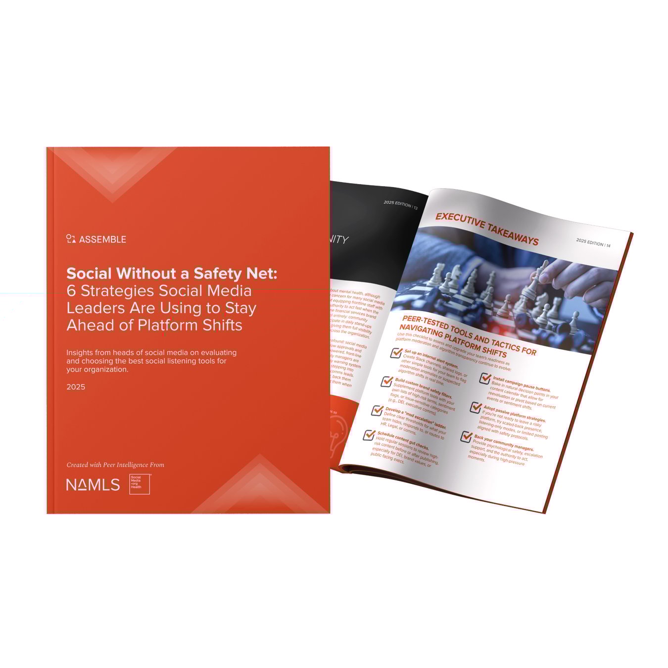 2025 Social Without a Safety Net - SMOH - Landing page image - 400x400