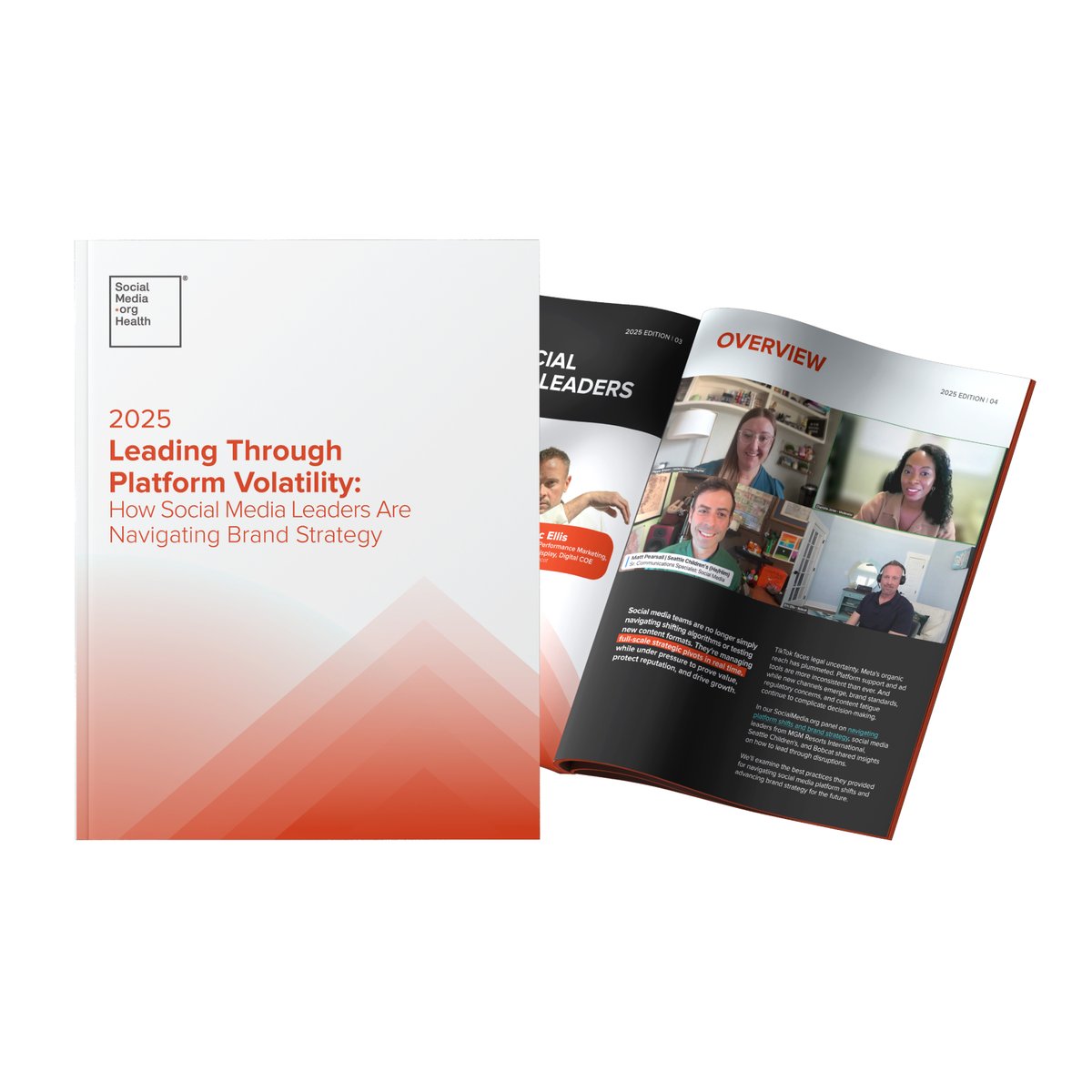 SMOH 2025 Q2 - Leading Through Platform Volatility - Landing page image - 400x400
